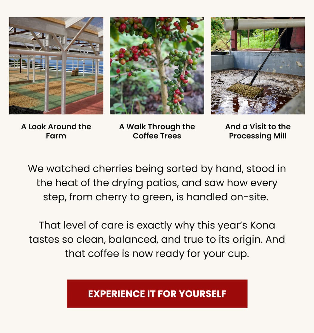 Experience it for Yourself