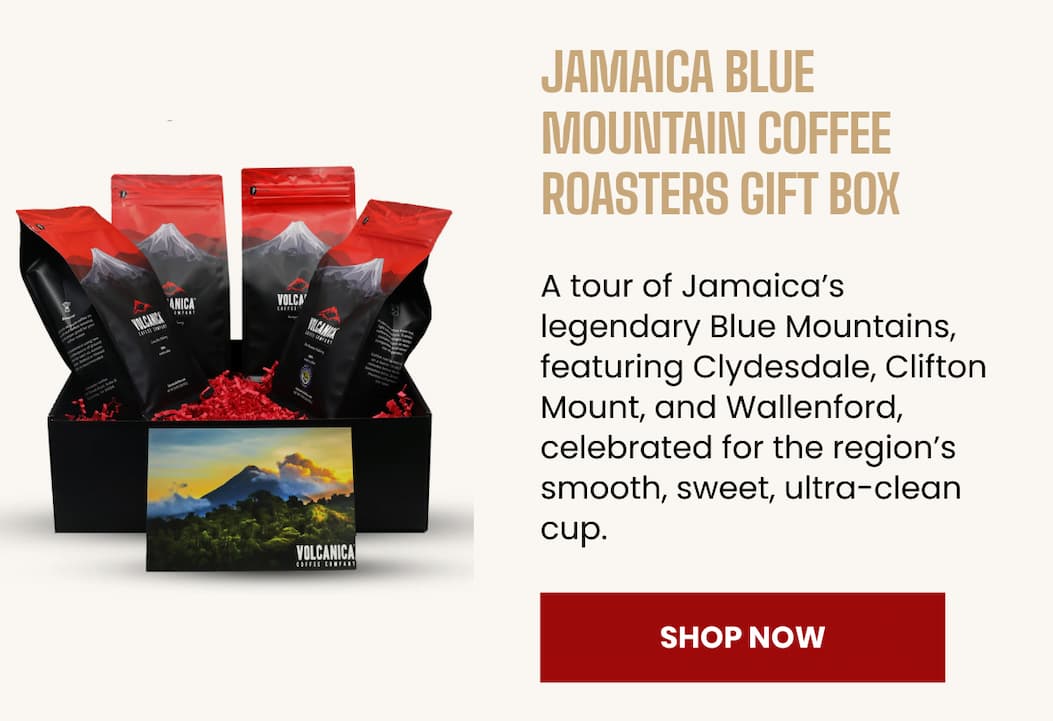 Jamaica Blue Mountain Coffee Roasters Gift Box