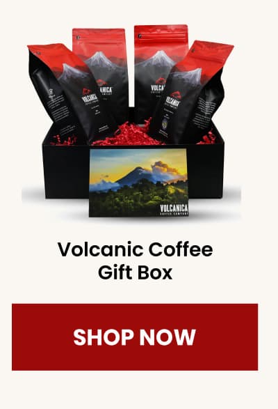 Volcanic Coffee Gift Box