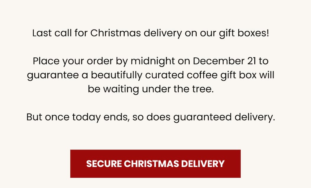 Secure Christmas delivery