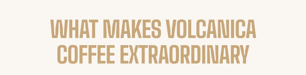 WHAT MAKES VOLCANICA COFFEE EXTRAORDINARY
