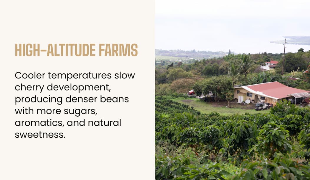 High-altitude farms