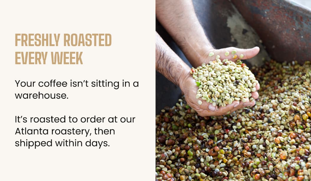 Freshly roasted every week
