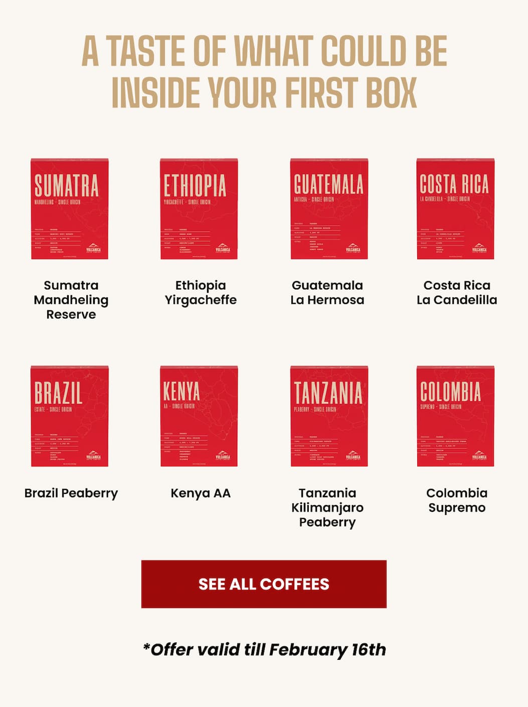 A Taste Of What Could Be Inside Your First Box