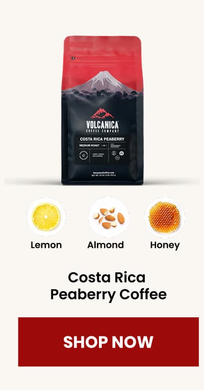 Costa Rica  Peaberry Coffee