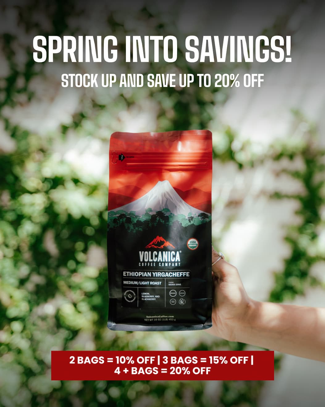 SPRING INTO SAVINGS!