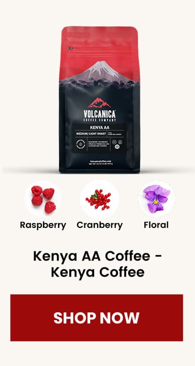 Kenya AA Coffee - Kenya Coffee