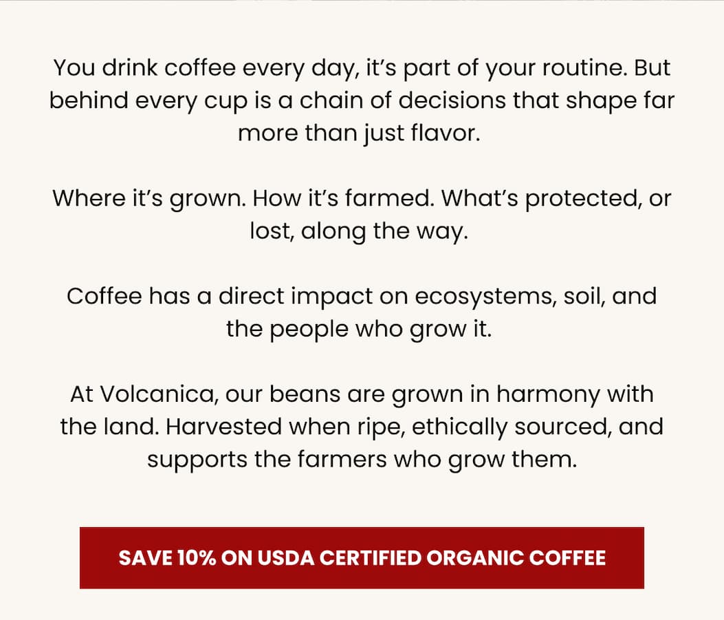 You drink coffee every day, it’s part of your routine. But behind every cup is a chain of decisions that shape far more than just flavour.  Where it’s grown. How it’s farmed. What’s protected, or lost, along the way.  Coffee has a direct impact on ecosystems, soil, and the people who grow it.  At Volcanica, our beans are grown in harmony with the land. Harvested when ripe, ethically sourced, and supports the farmers who grow them.