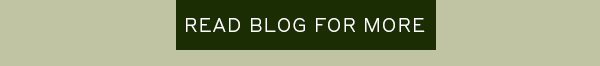 Read blog for more