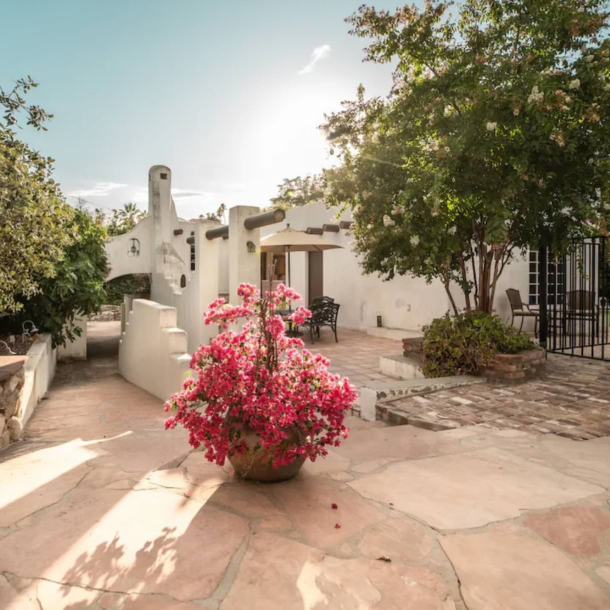 Bright red flowers flourish on the patio of a beautiful adobe home