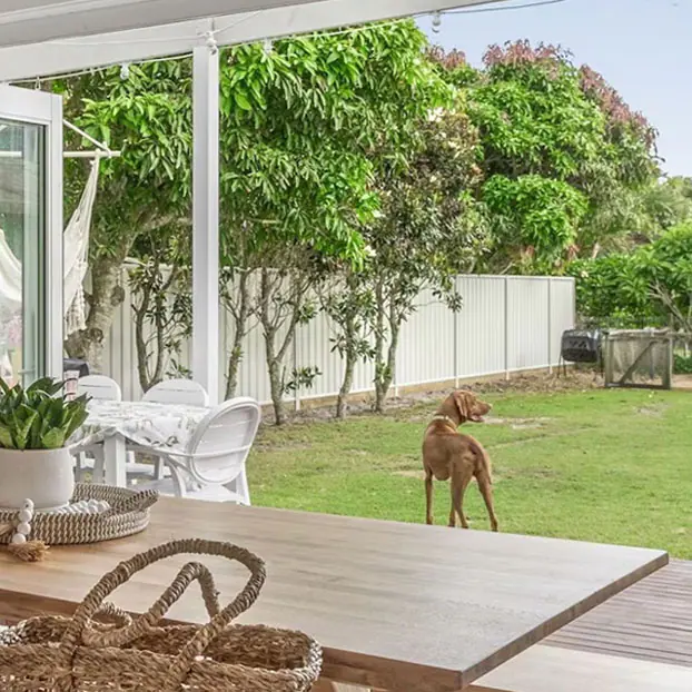 Find pet-friendly deals