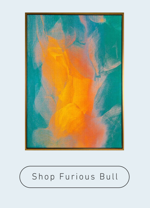 Shop Furious Bull