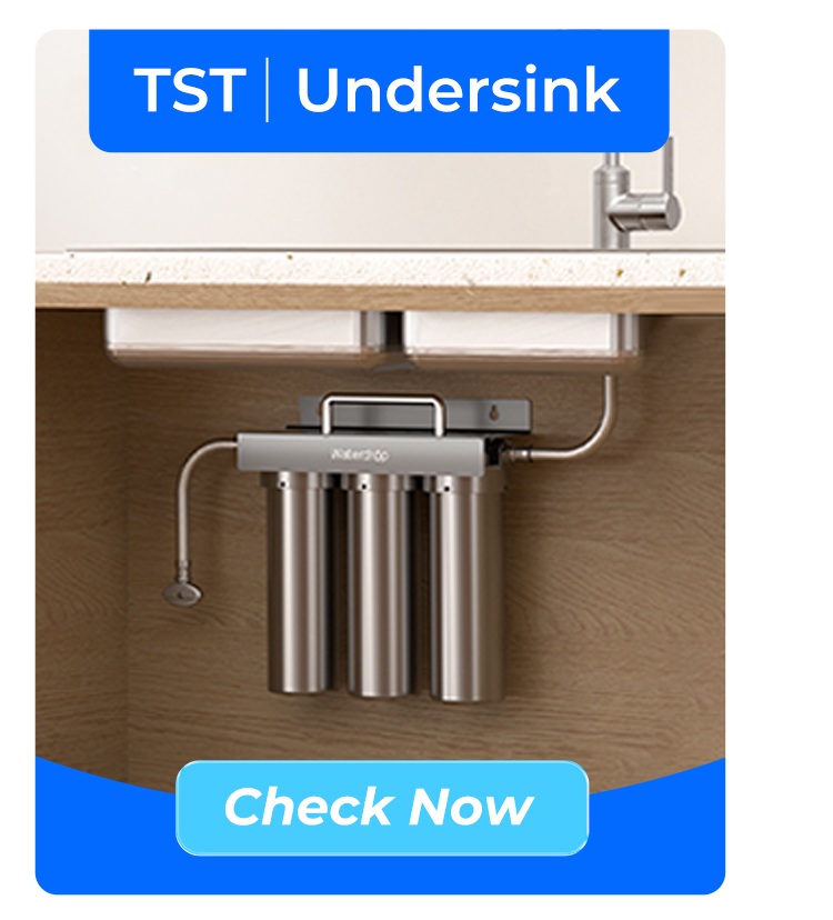 TST