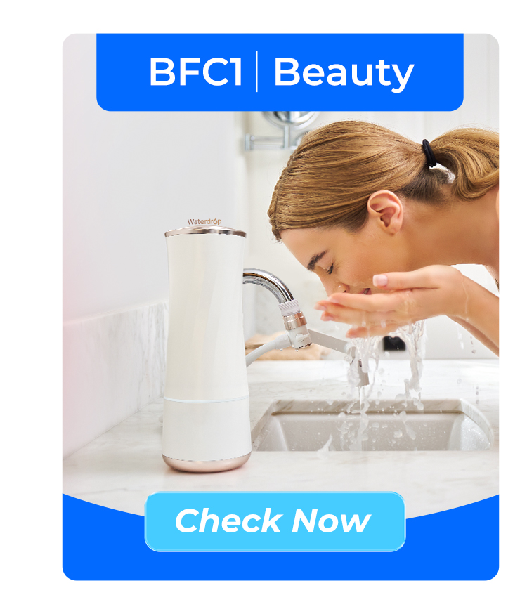 BFC1