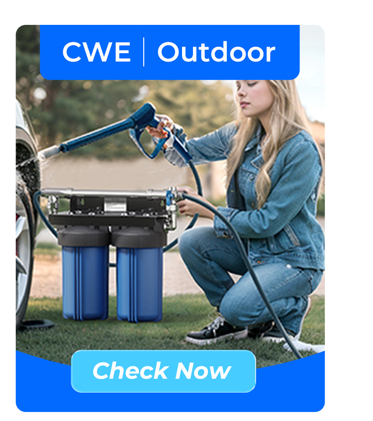 CWE
