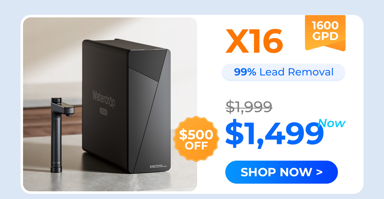 x16