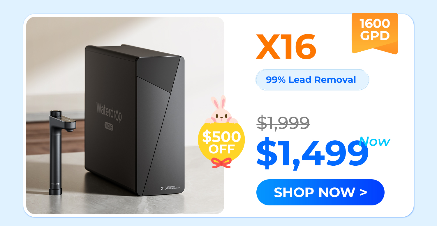 x16