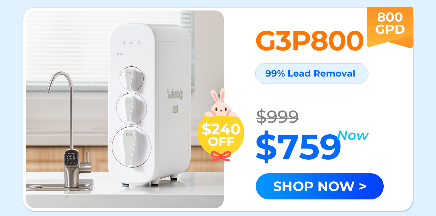 g3p800