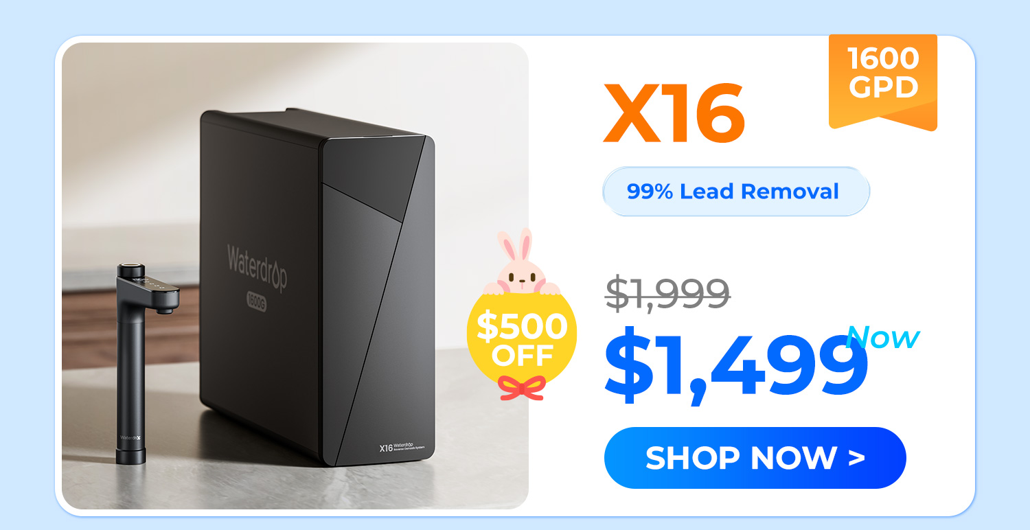 x16
