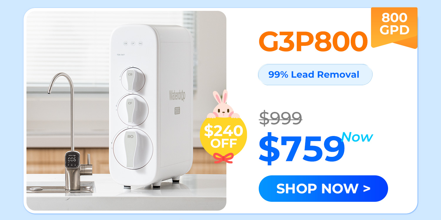 g3p800