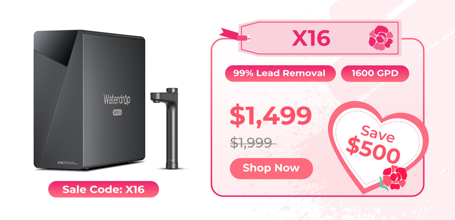X16