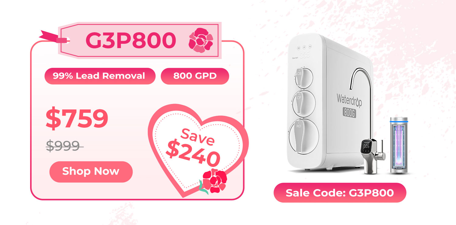 G3P800