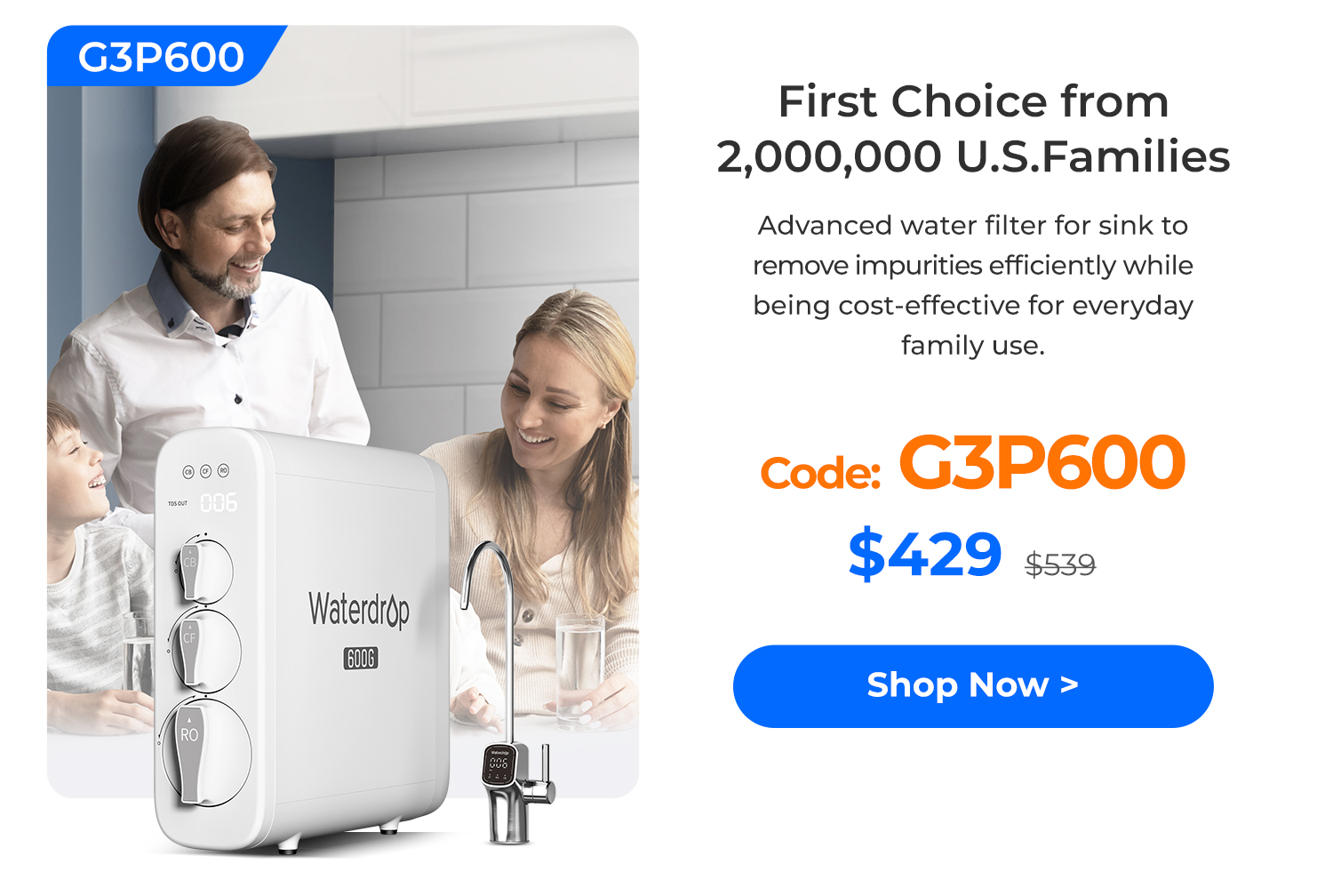 G3P600