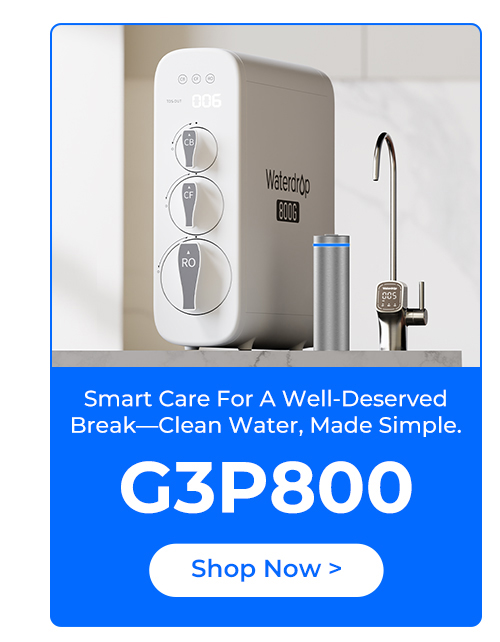 G3P800