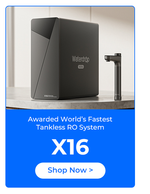 X16
