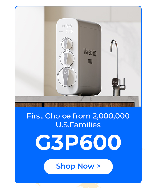 G3P600
