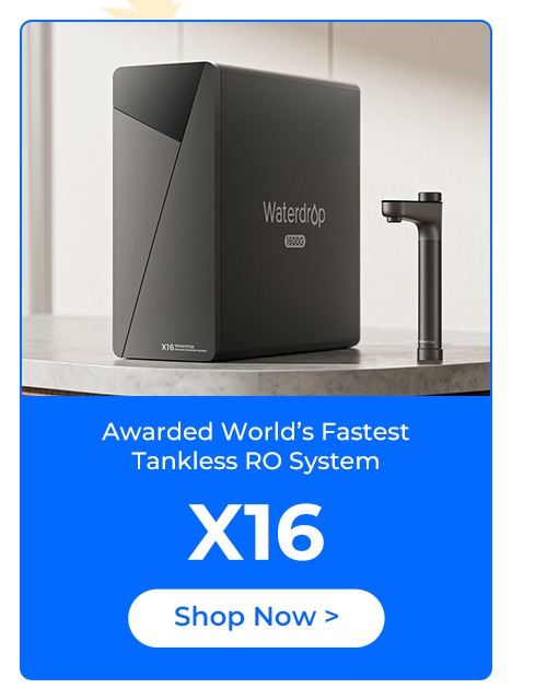 X16