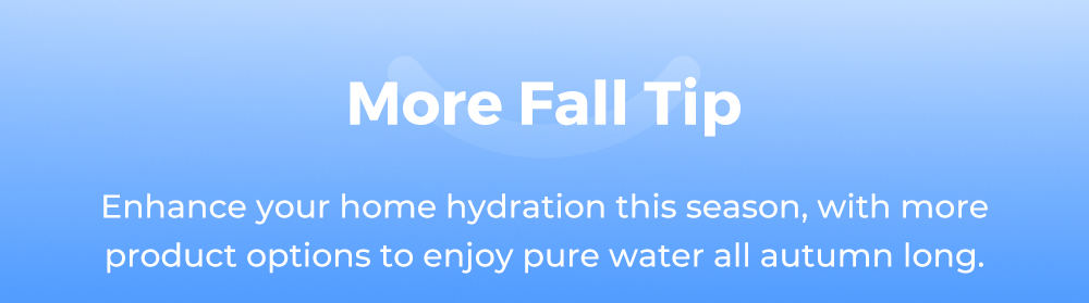 Fall Flash Sale
