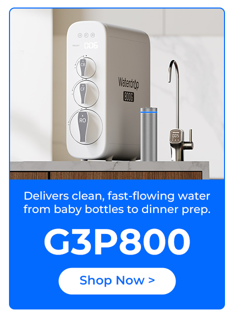 G3P800