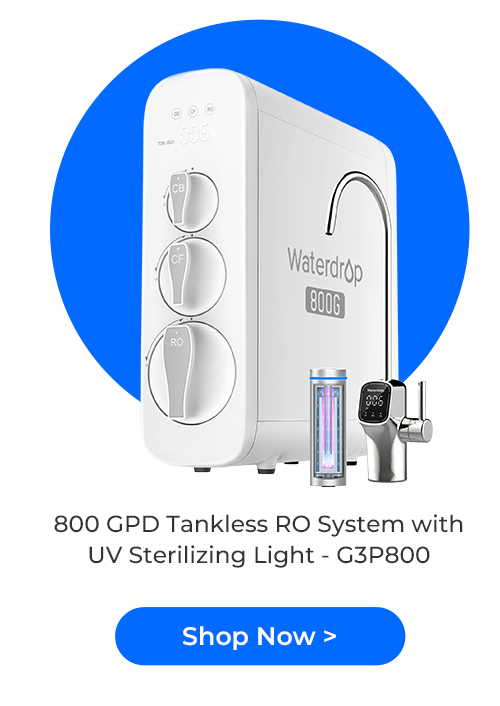 G3P800