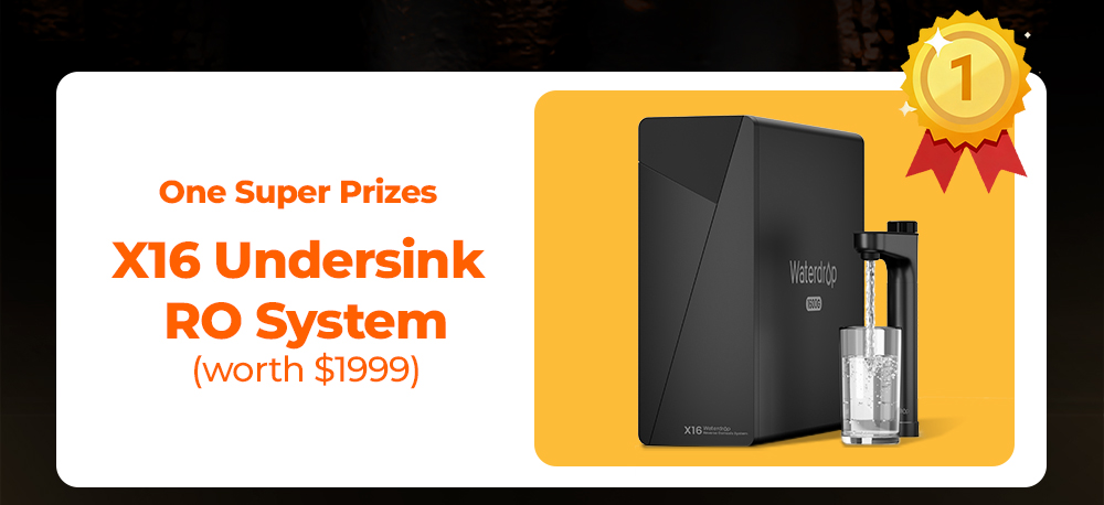 Giveaway