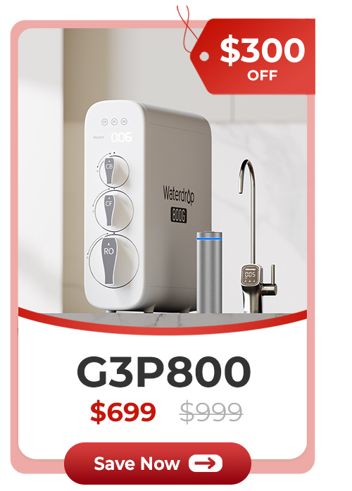 G3P800