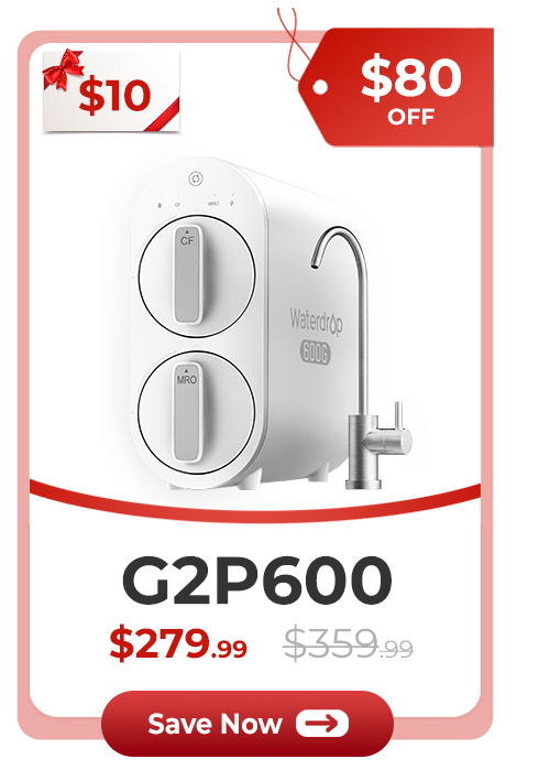G2P600