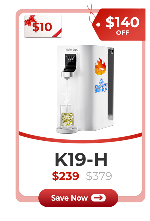 K19-H