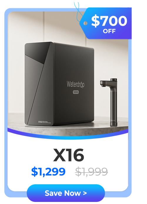X16