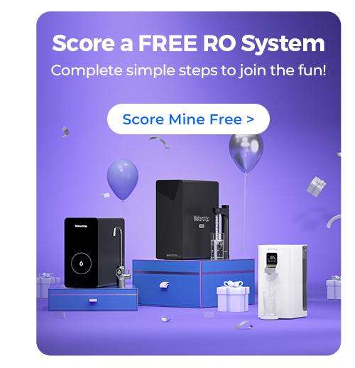 giveaway