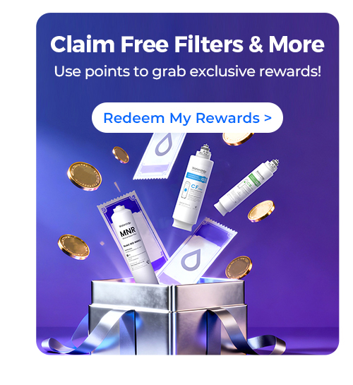 rewards