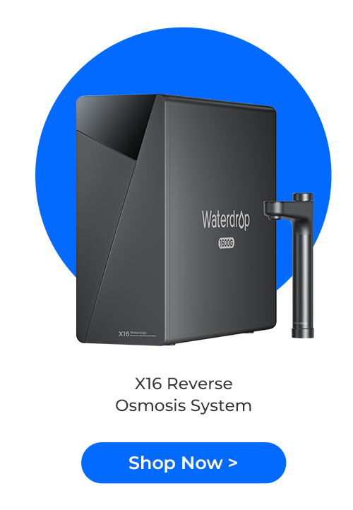 X16