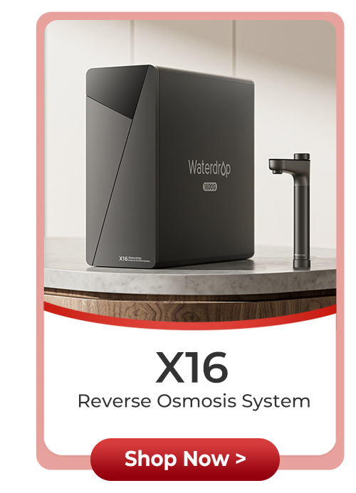 X16