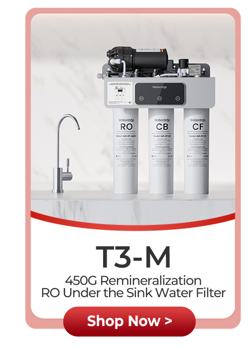 T3-M