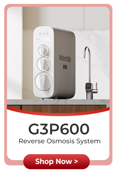 G3P600