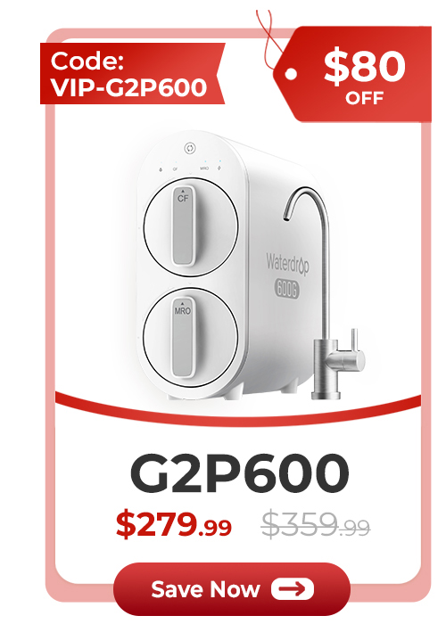 G2P600