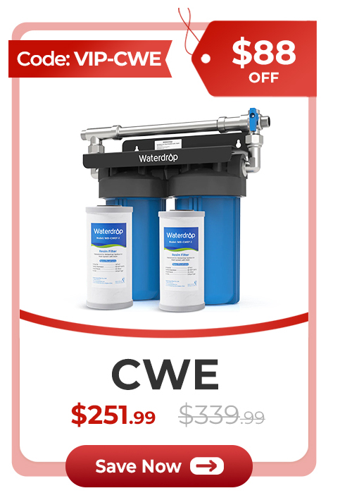 CWE