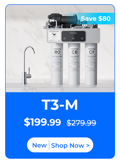 T3-M