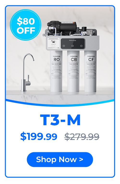 T3-M