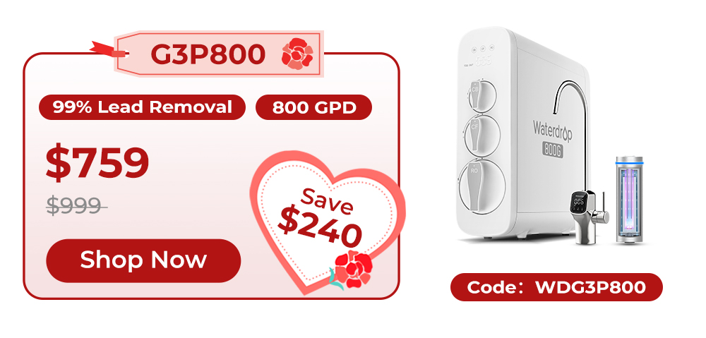 G3P800